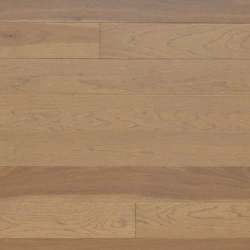 Signature Solid Hickory Excel 3/4" in Chardonnay Um 3.25" Hardwood