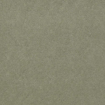 Kiwi Ice