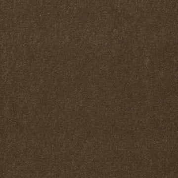 Olive Twist