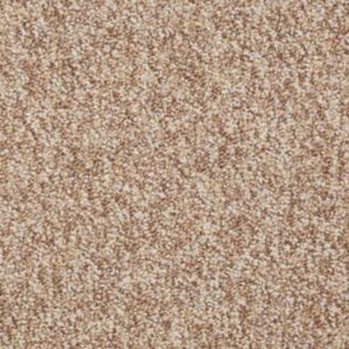 No Limits 22 in Potential Carpet