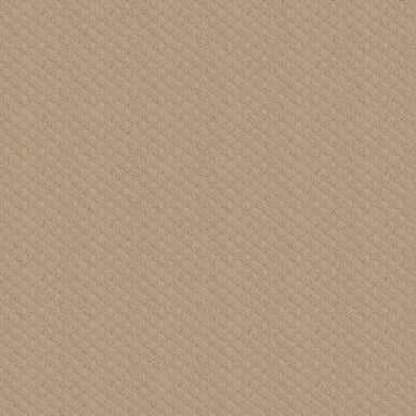 Stay Strong in Cameo Carpet