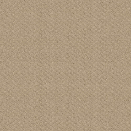 Stay Strong in Cameo Carpet