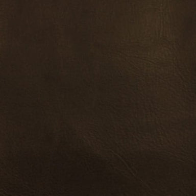 Leather Essence in Chocolate Carpet