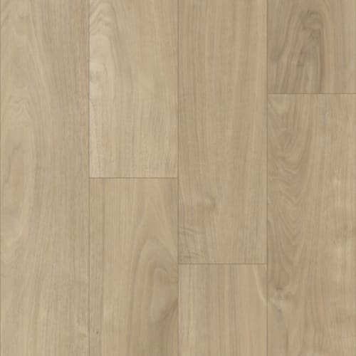 Prime XL 7 Collection