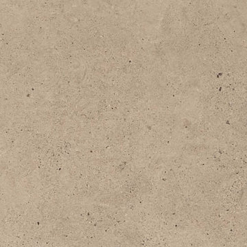 Taupe 12"x24" Matte
