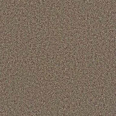 BULLETIN 28 in Kick Off Carpet