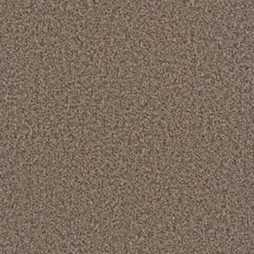 BULLETIN 28 in Kick Off Carpet