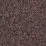 PRIVILEGED 26 in Henna Spice Carpet