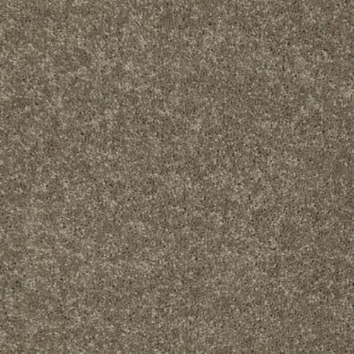 Knockout II 15' in Sequoia Carpet