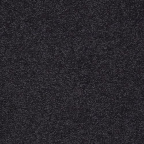 Sandy Hollow II 15' in Graphite Carpet