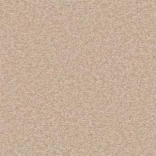 Great Effect II 15' in Adobe Carpet