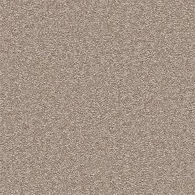 Bright Spirit II 15' in Chinchilla Carpet