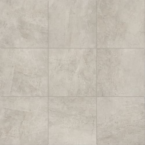 Virginia Tile in Transition Tile