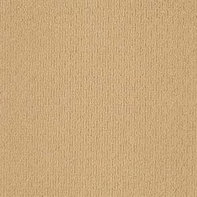 Value Loop in 224 Carpet