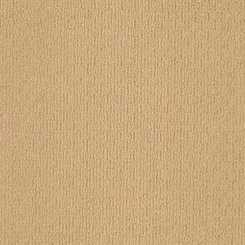 Value Loop in 224 Carpet