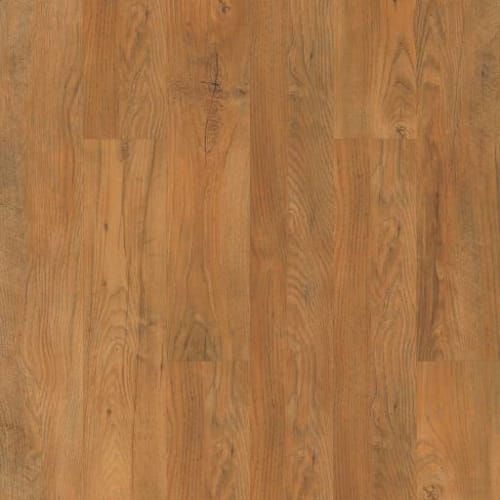 Shaw Industries in SILVA Luxury Vinyl — America's Floor Source