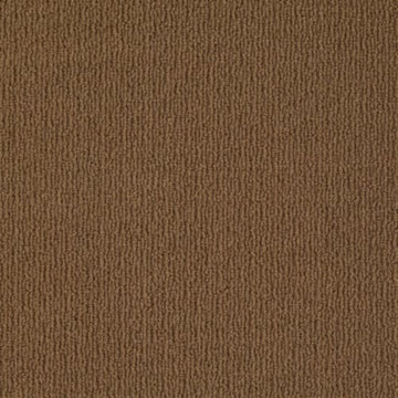 Modern Brown