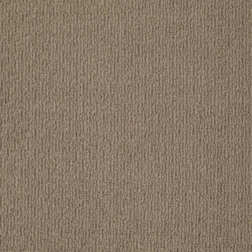 Casual Mood in Saddle Blanket Carpet