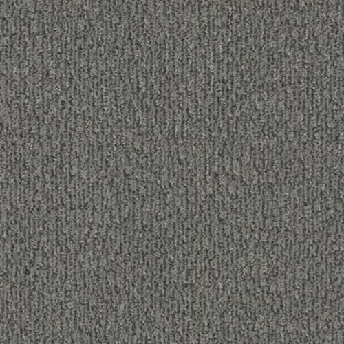 FUR-EVER in Kendall Carpet