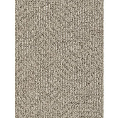 ARIO in Adobe Beige Carpet