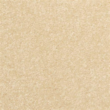 Inspiring 2302 in 27335 Warm Up  Carpet Flooring | Dixie Home