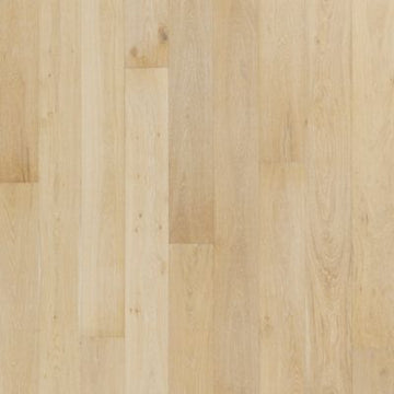 Conch Oak