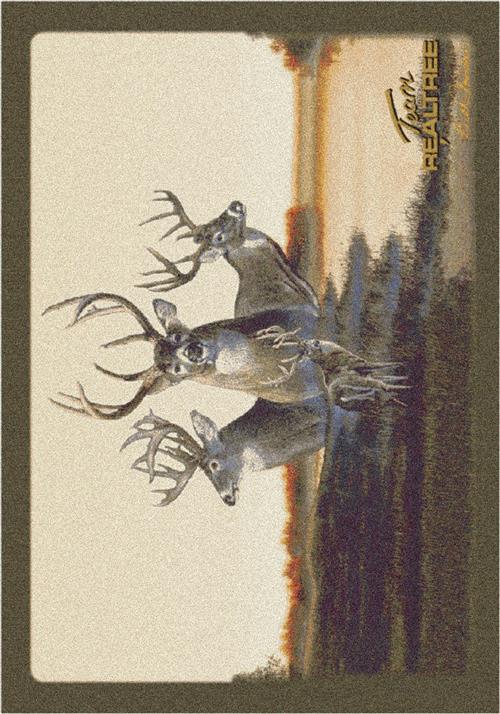 Team Realtree 7-74052