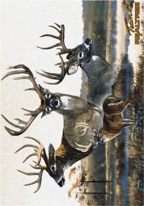 Monster Buck 6-74054