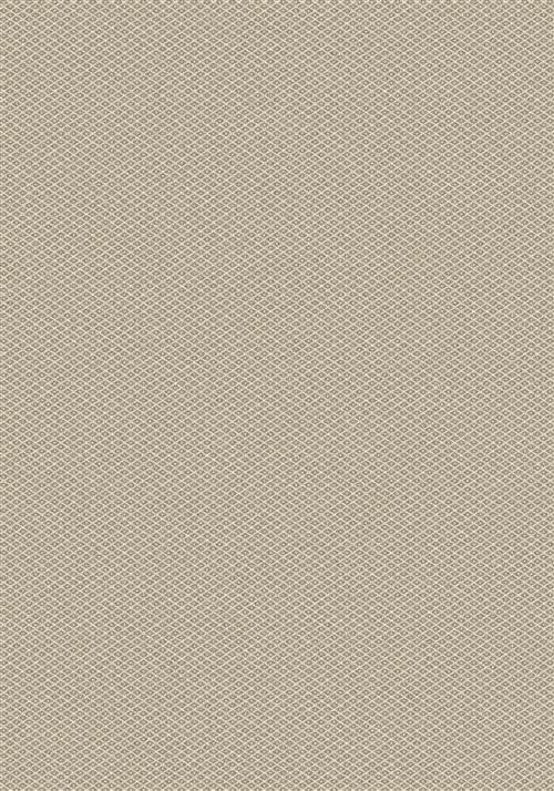 Parkdale-Taupe