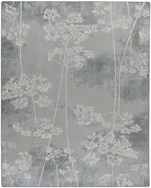 Cedar Springs-Blueridge