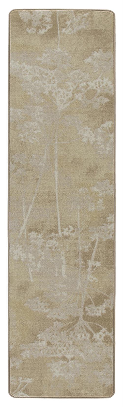 Cedar Springs-Sunscape