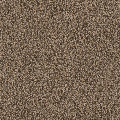 Step Two Flooring by Engineered Floors - Dream Weaver