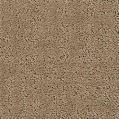 My Style 5778 in 80116 Smoky Ash  Carpet Flooring | Dixie Home