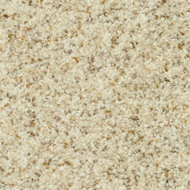 Magic Moment 6946 in 10174 Whisper Bluff  Carpet Flooring | Dixie Home