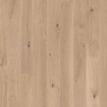 Oak Animoso White