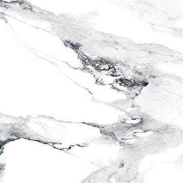 Blanco Polished - 12x24