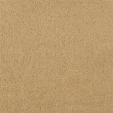 Matisse Flooring by Masland Carpets