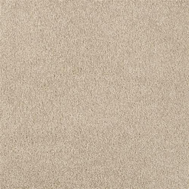 Miami Flooring by Masland Carpets