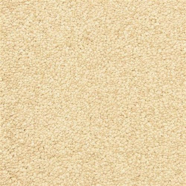 Morgan Bay Flooring by Masland Carpets