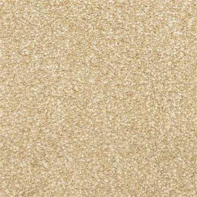 This and That Flooring by Masland Carpets