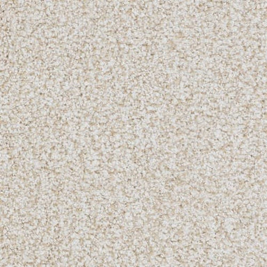 St. Augustine Flooring by Masland Carpets