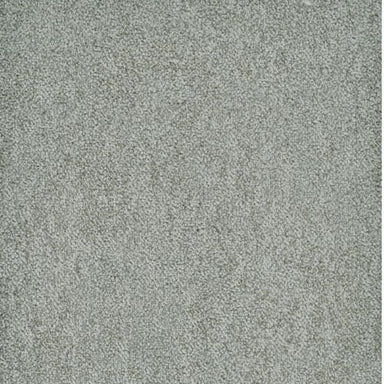 Buena Vida Flooring by Masland Carpets