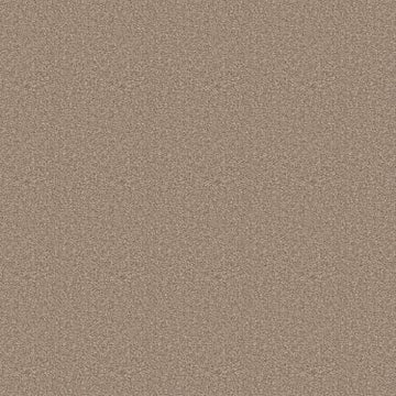 Timeless Taupe