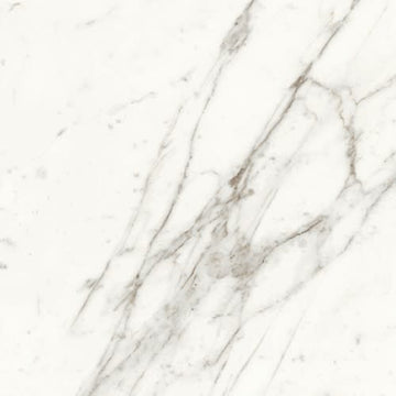 Calacatta 12x24
