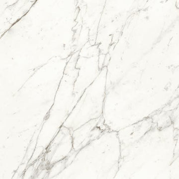 Calacatta 24x48
