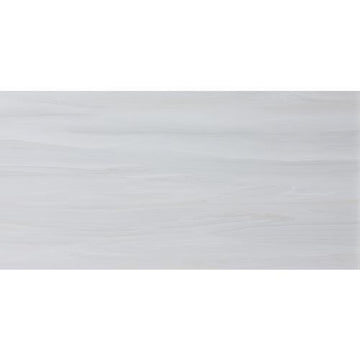 Visionary Gloss 12x24