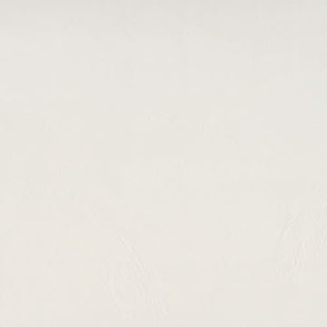 Ivory 24" X 24" Matte