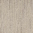 Advocate D011 in 33121 Accolade Carpet Flooring by Dixie Home