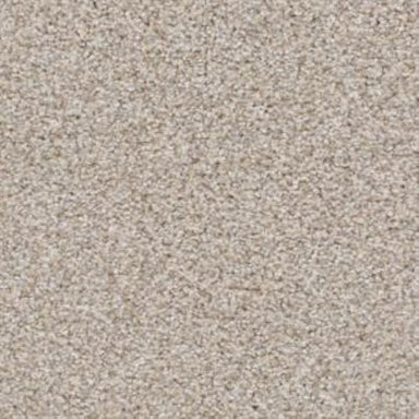 Top Dog D060 in 75745 Shar Pei  Carpet Flooring | Dixie Home