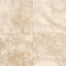 Travertine Collection in Torreon 12x12 Textured